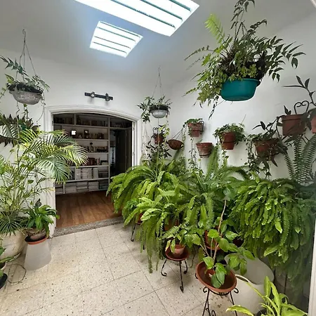 Vegueta La Vegueta